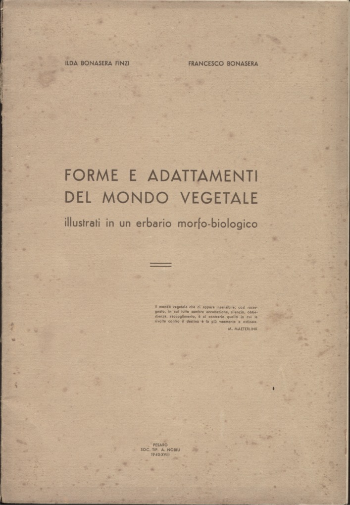 ERBARIO FINZI-BONASERA lettura completa